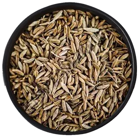 Spray Dried Exporter