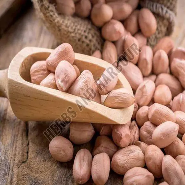 Groundnut Seeds