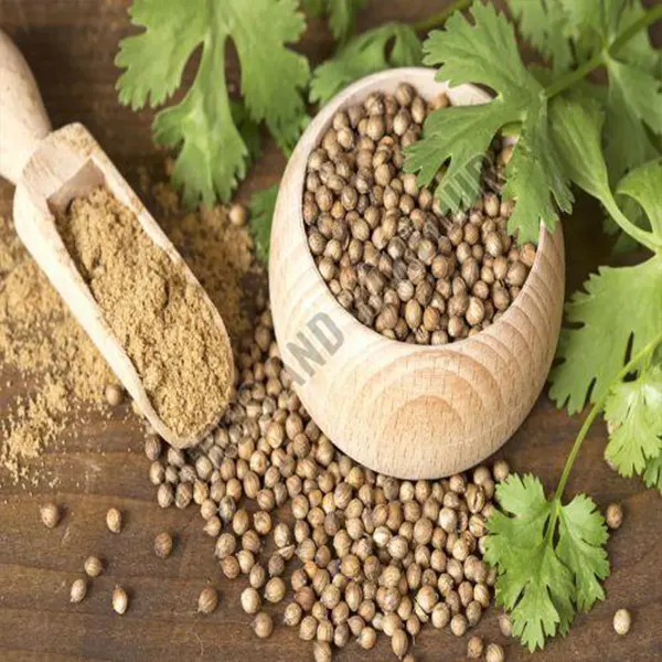 Coriander seeds