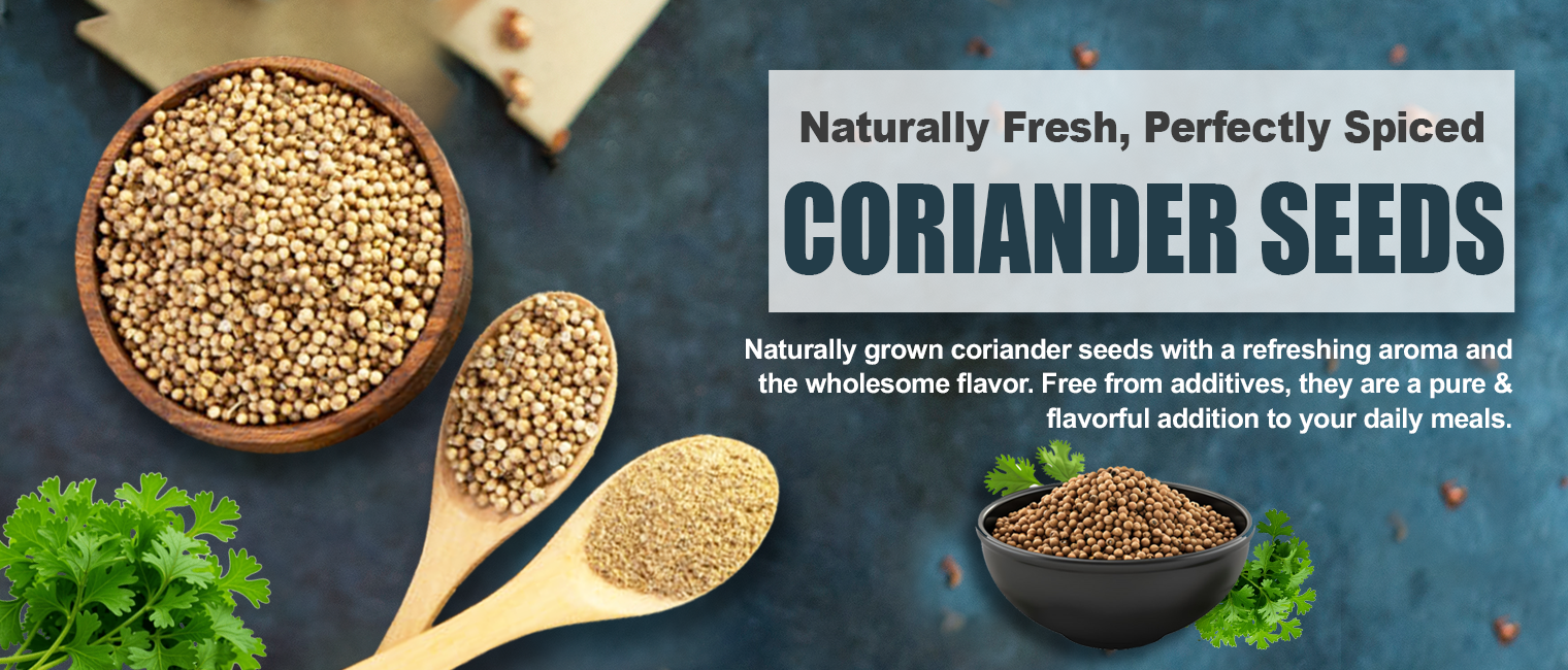 Coriander Seeds