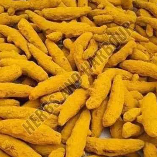 Turmeric Finger